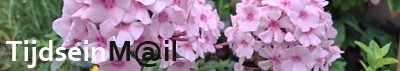 TijdseinMail - Logo