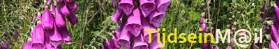 TijdseinMail - Logo