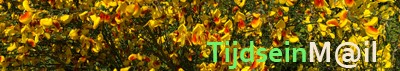 TijdseinMail - Logo